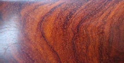 紅木材料切面