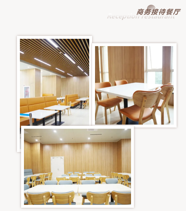 商務(wù)接待餐廳家具